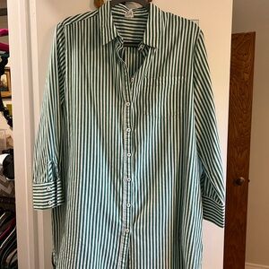 Vici Flawless green and white shirt dress